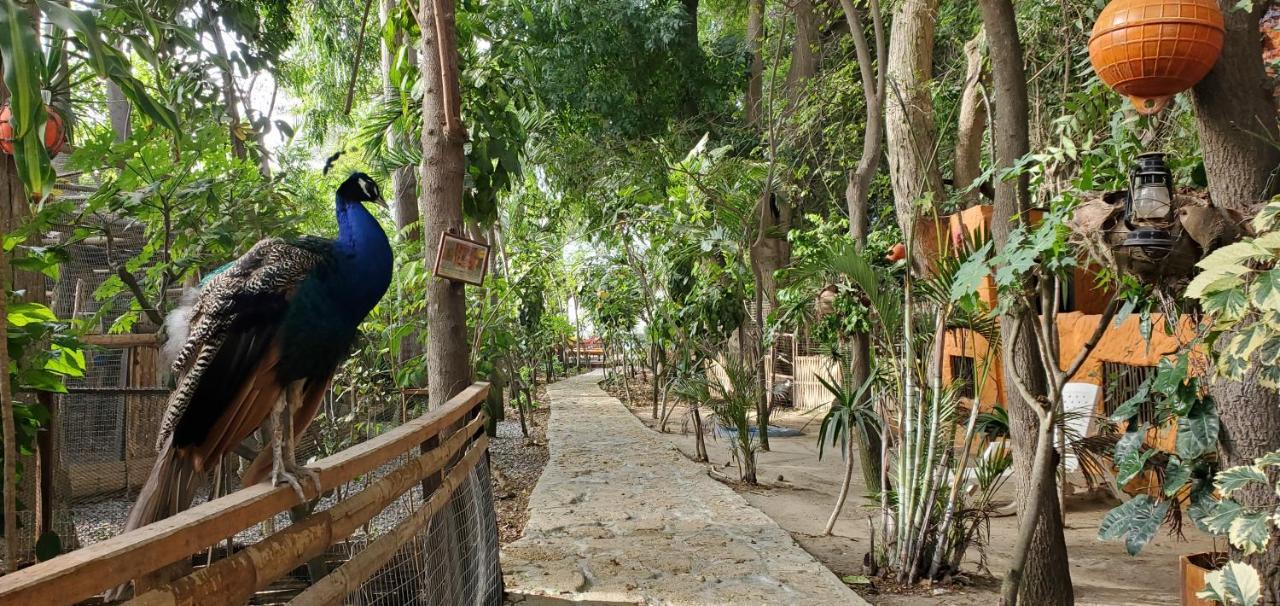 Lodge Ecologica El Faro