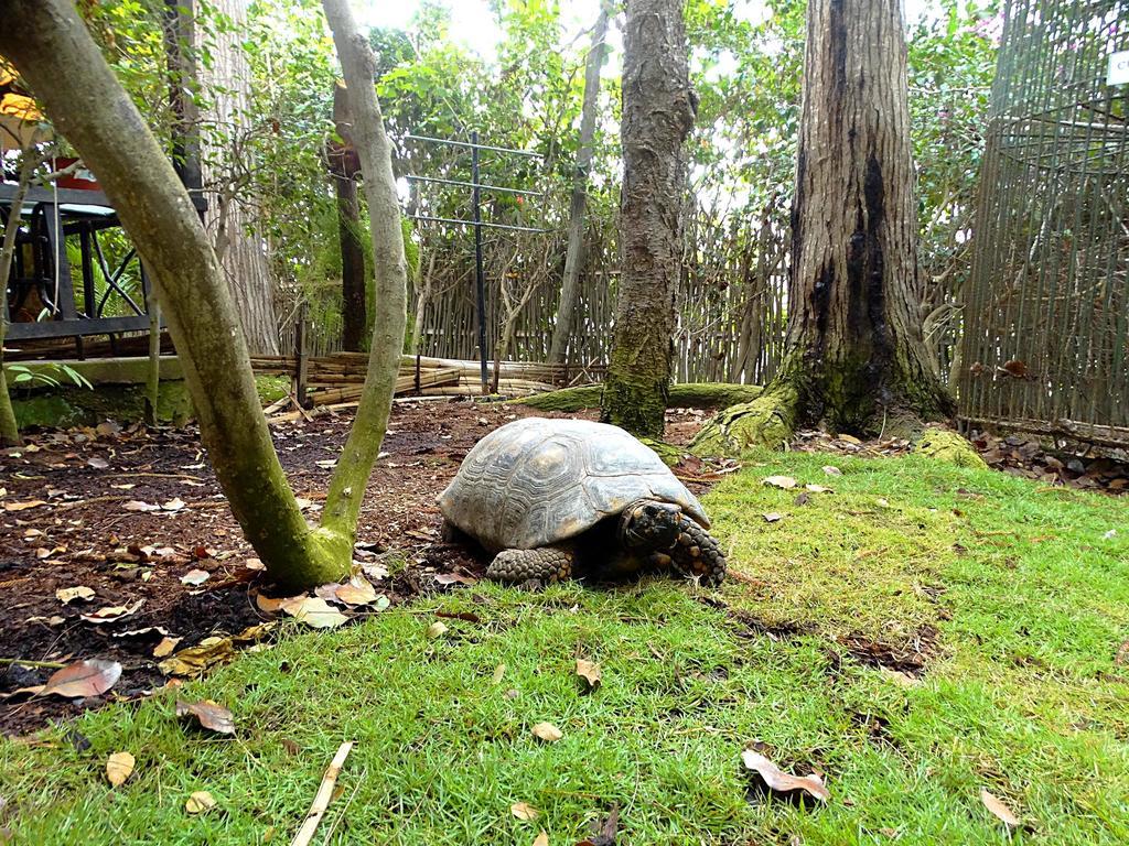 Ecologica El Faro Lodge Salinas (Santa Elena)